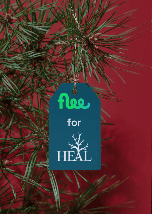 Il Natale di Flee